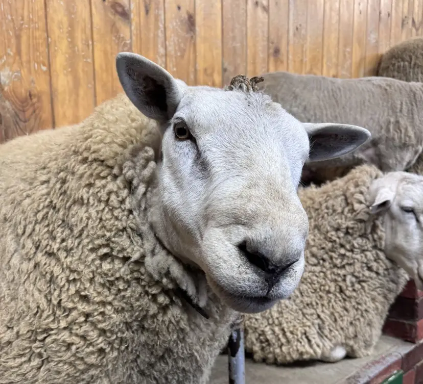 HOLLY 髙橋ユウキの掲載