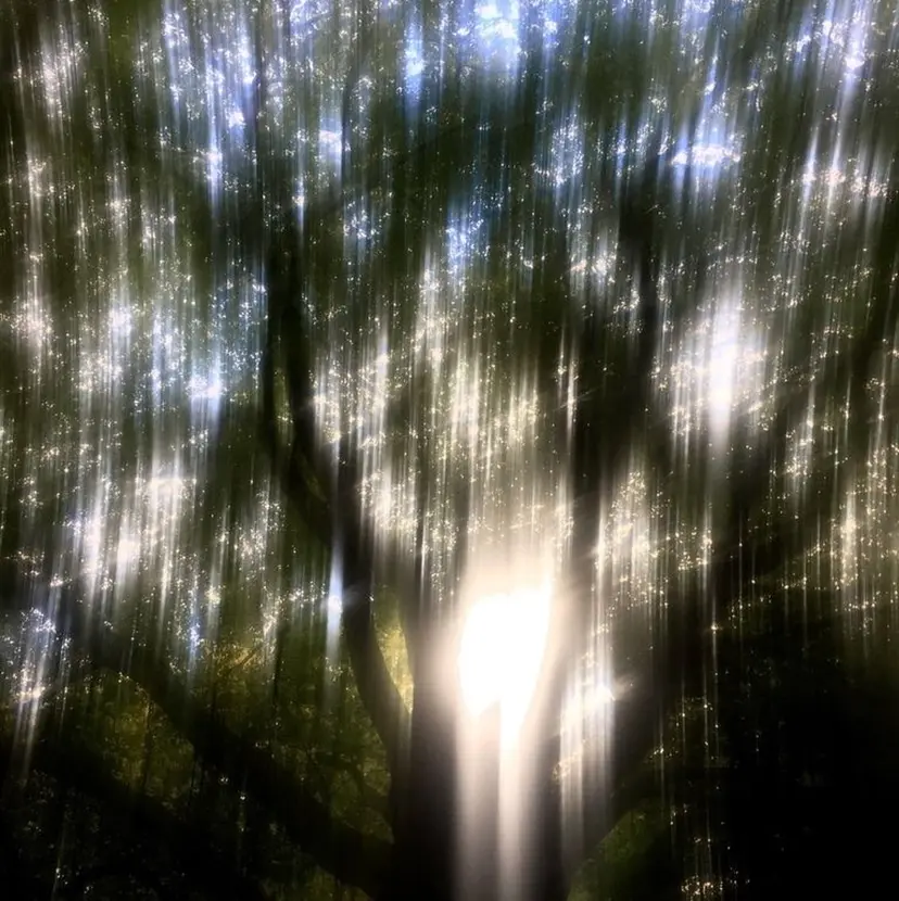 ﾟSugawara/ ﾏﾘｰﾃﾚｼﾞｱ。ﾞの掲載