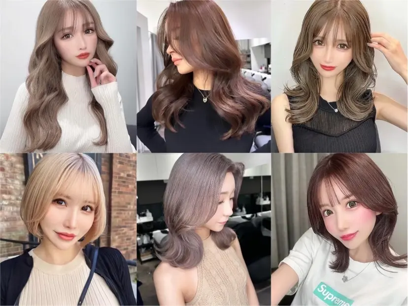 【elyts】 MEIの掲載