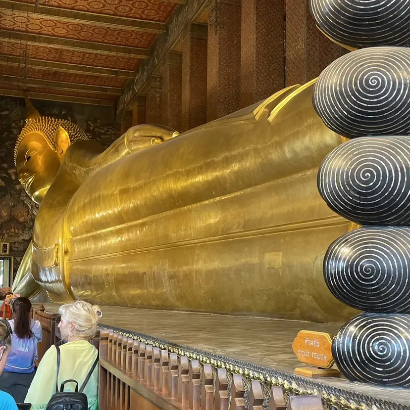 かさい しゅりの掲載