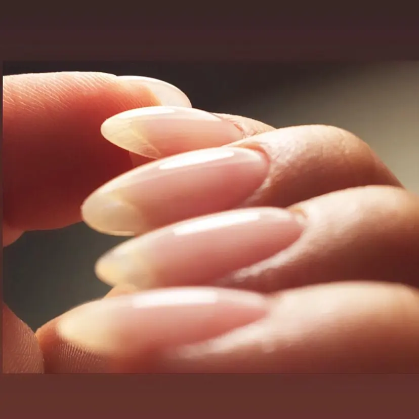 atelier nife.の掲載