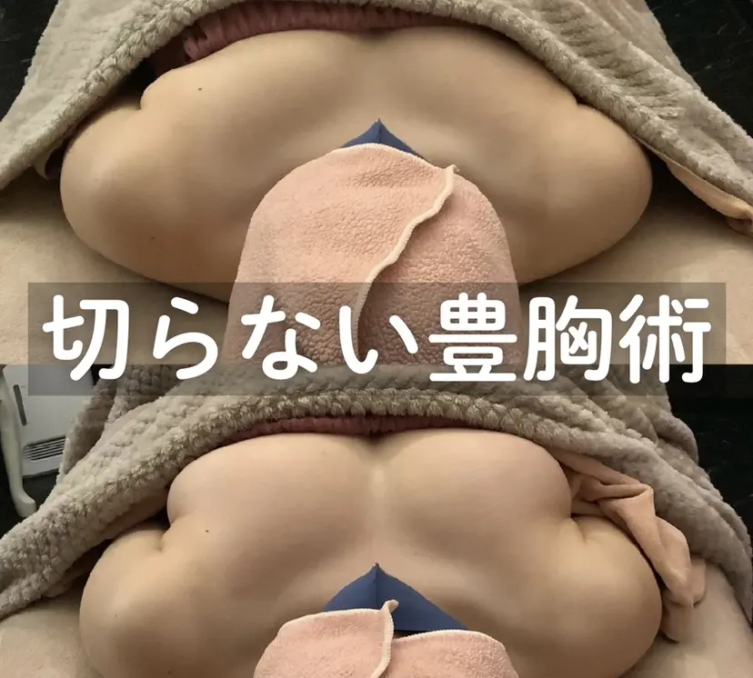 山口 夏生の掲載