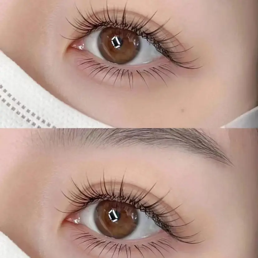 セツ ワンの掲載