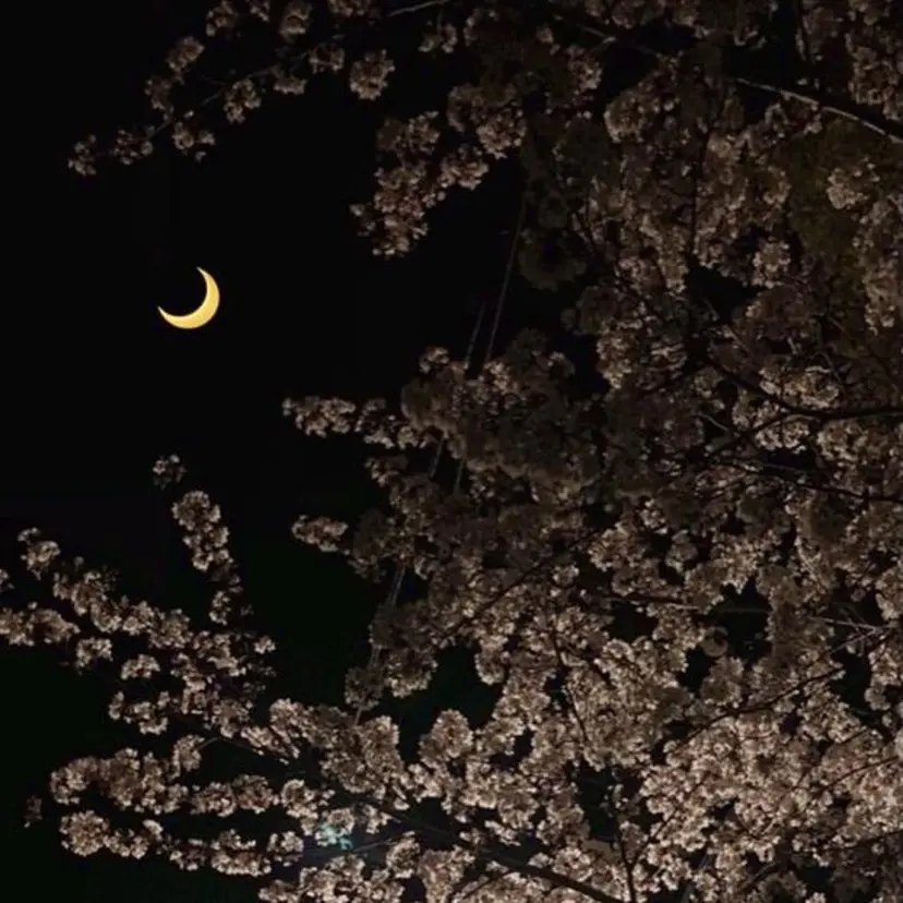 One’Ness Nana🤍の掲載