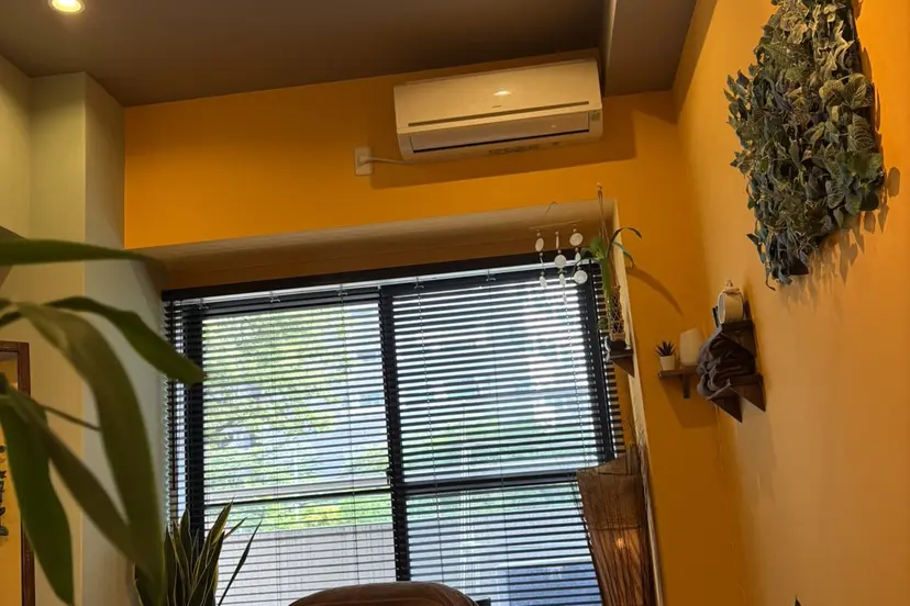 Pivace ピヴァーチェの掲載