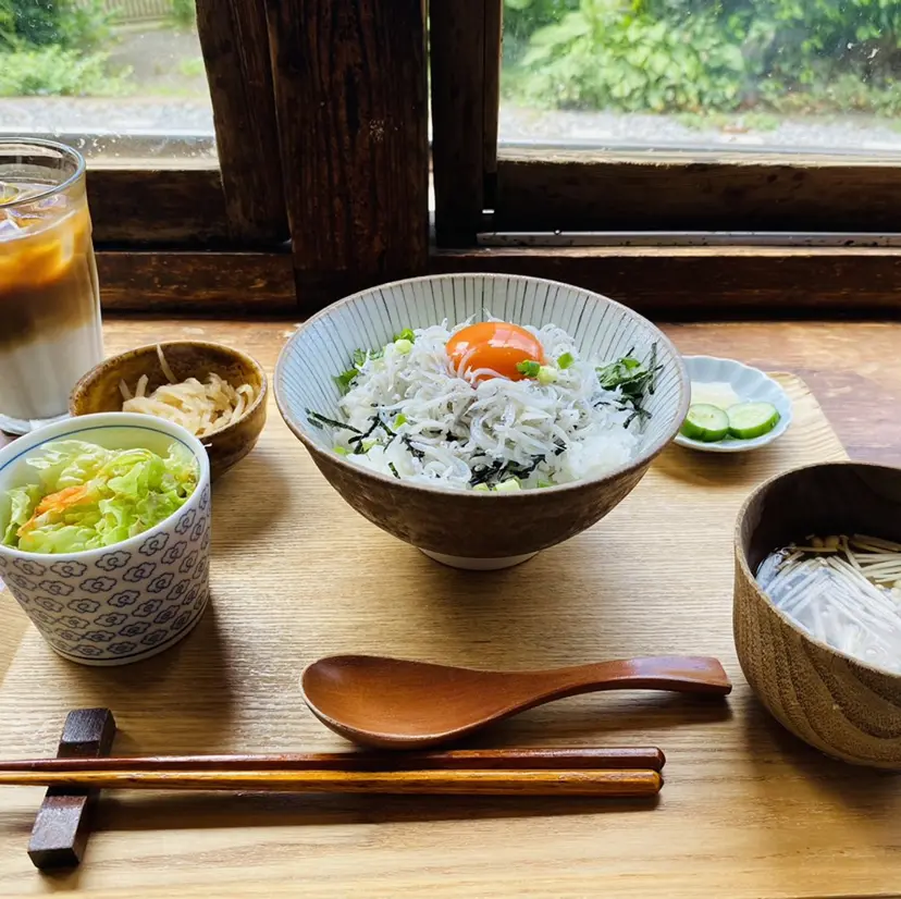 ボブカット/ 尾崎龍聖の掲載