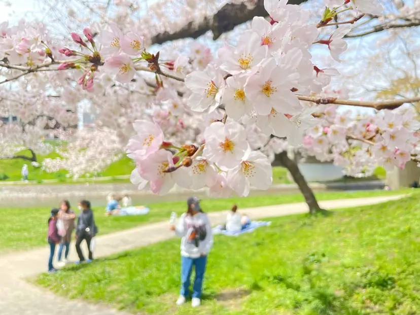 🩵髪質改善カラー 🩵SHURIの掲載