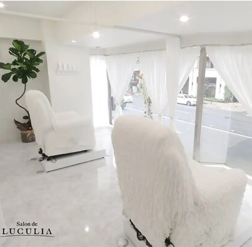 LUCULIA 渡邉の掲載