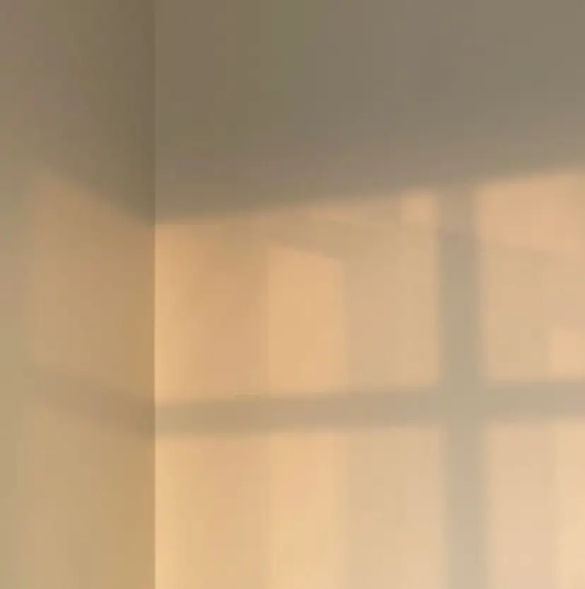 Lusso🍃 Ayaneの掲載