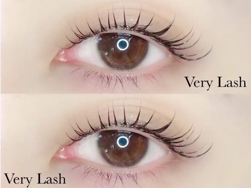 鈴木 あゆみの掲載