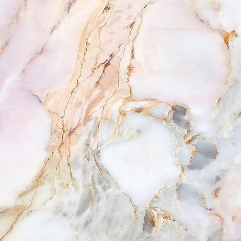 ☘️ motion ALOE ☘️の掲載