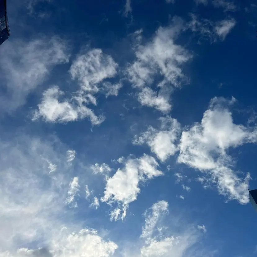 丸山 史香の掲載