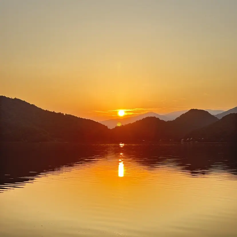 山根 由行の掲載