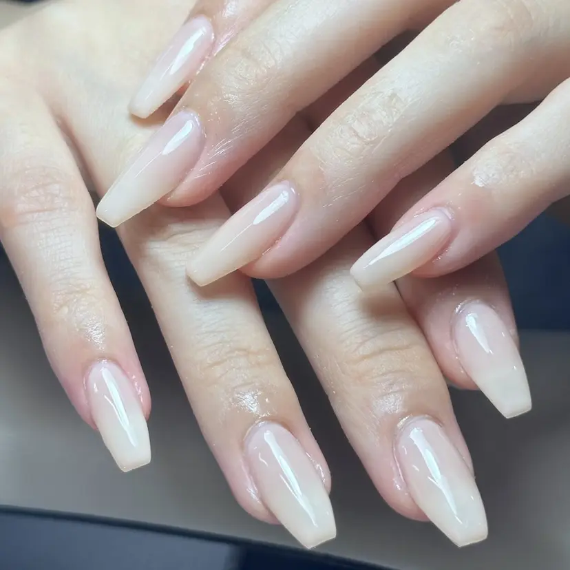 チャン チャンの掲載