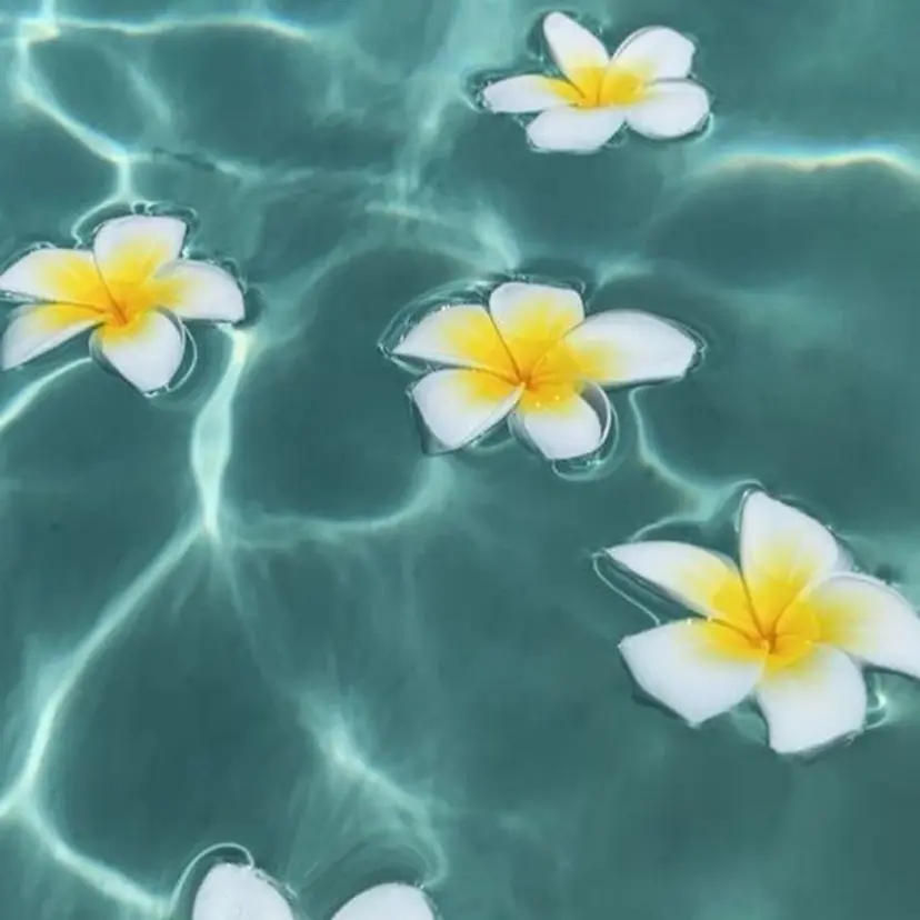 raffine🌿 MISORAの掲載