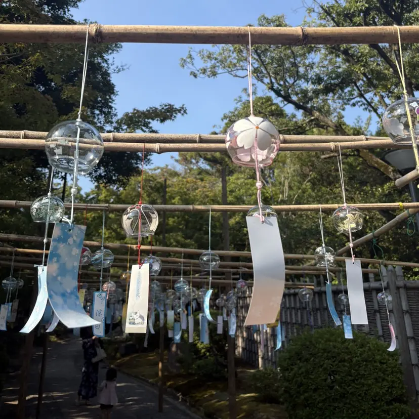 TANAKA AIRIの掲載