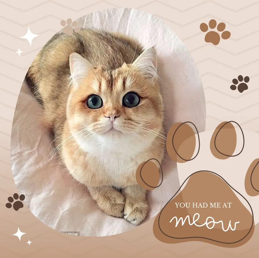 Hurin’s Nail Rikaの掲載