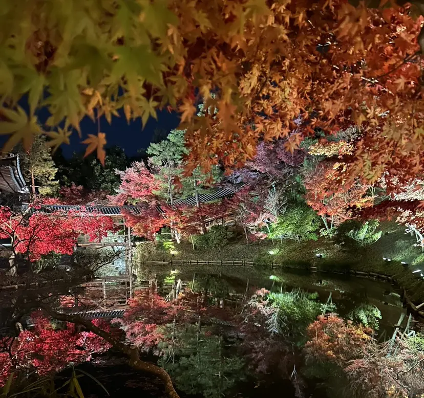 袈叶 ✨の掲載