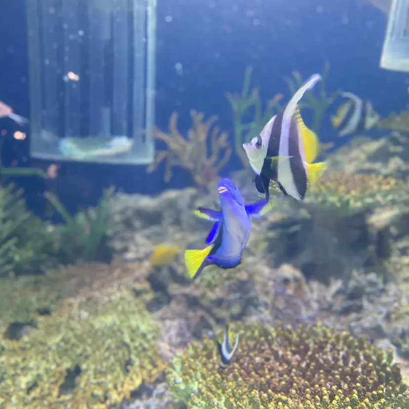 小倉/メンズ/ パーマ/下田亮斗の掲載