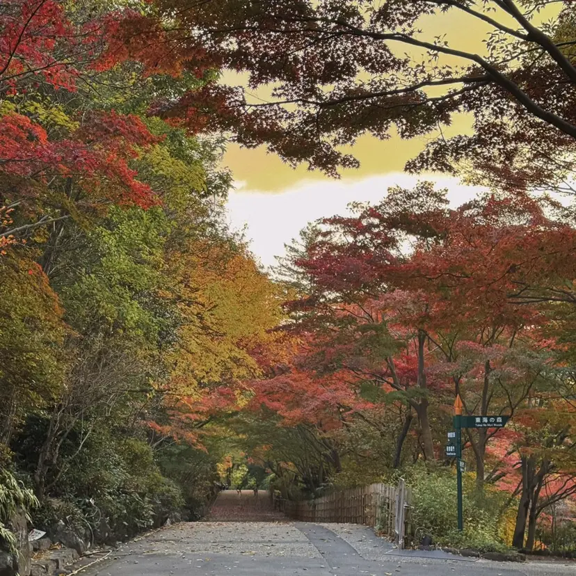 スギヤマ ショウゴの掲載