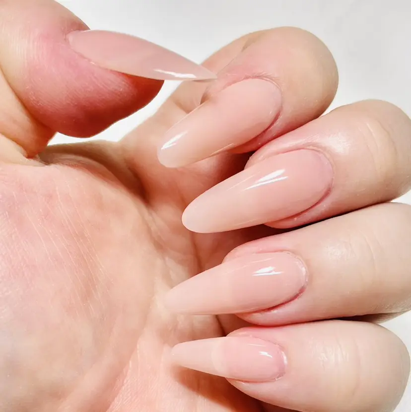 saaa nailの掲載