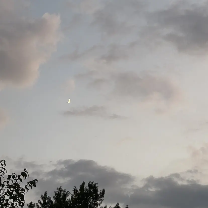 AN-RIRE takahashiの掲載