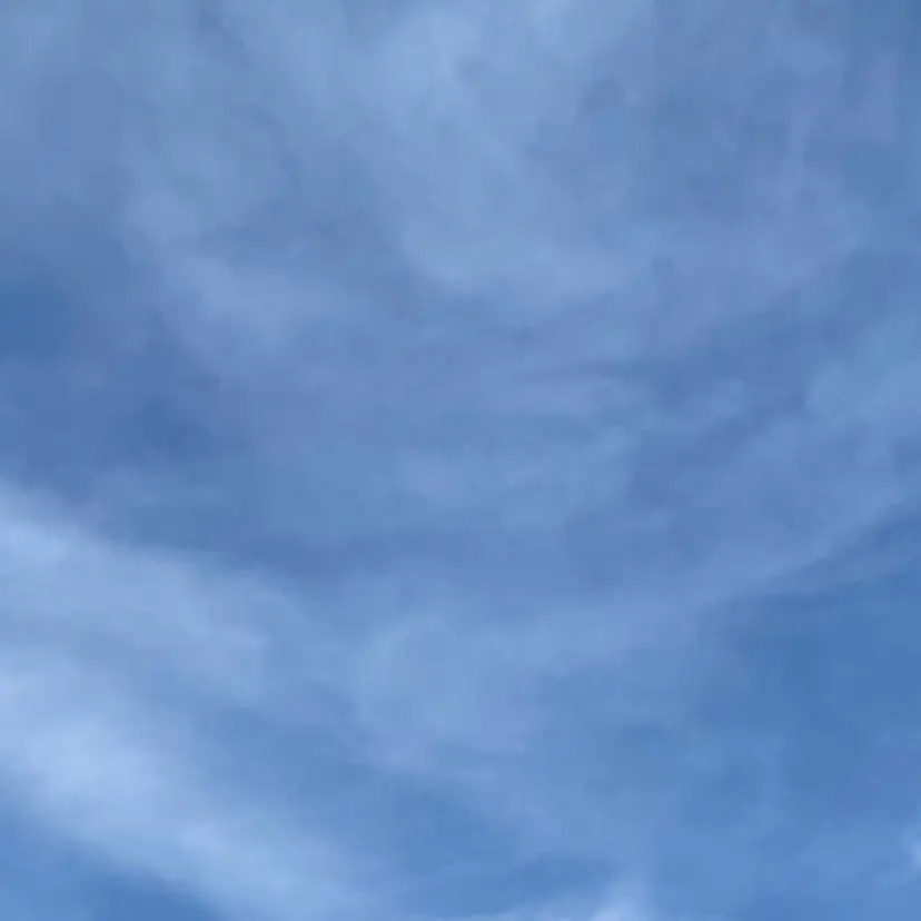 鈴木 梨愛の掲載