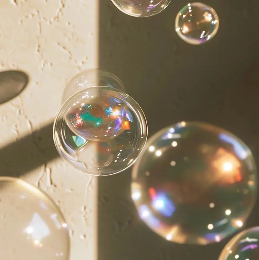 刀根 梓織の掲載