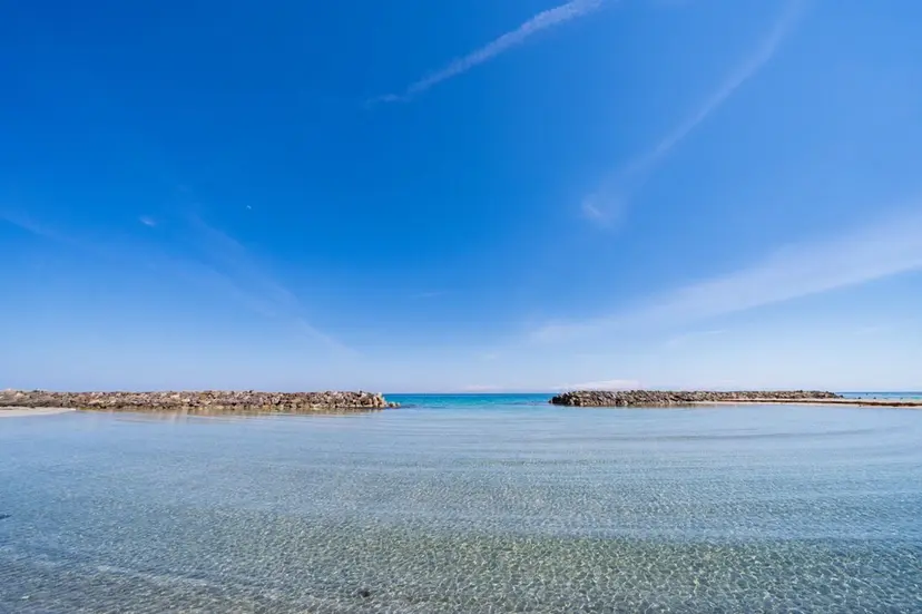 冬爪 ゆかの掲載