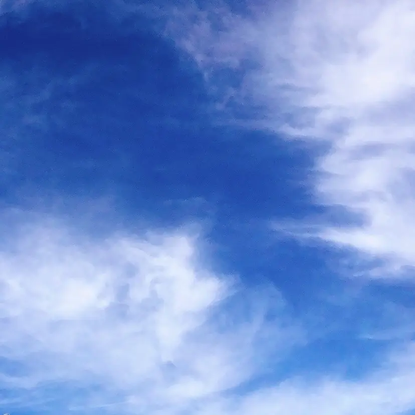 イワタ アケミの掲載