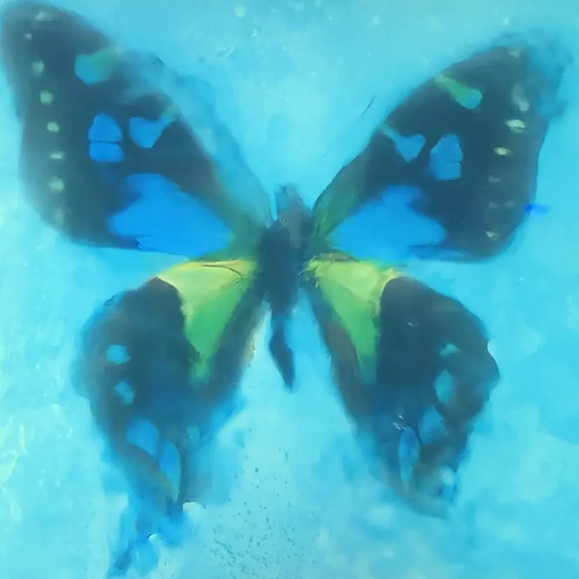 森 瑞紀の掲載