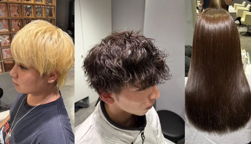 新井 有真の掲載