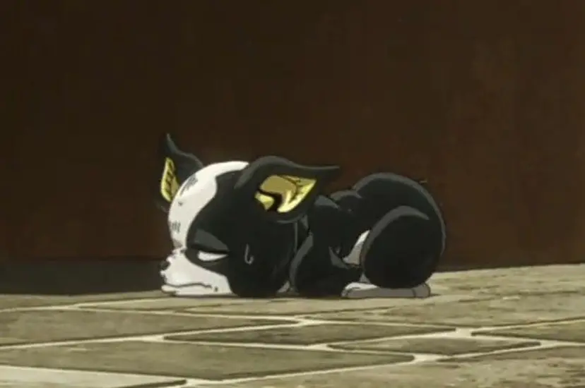 🌺CUORE‪🌺 HONOKAの掲載