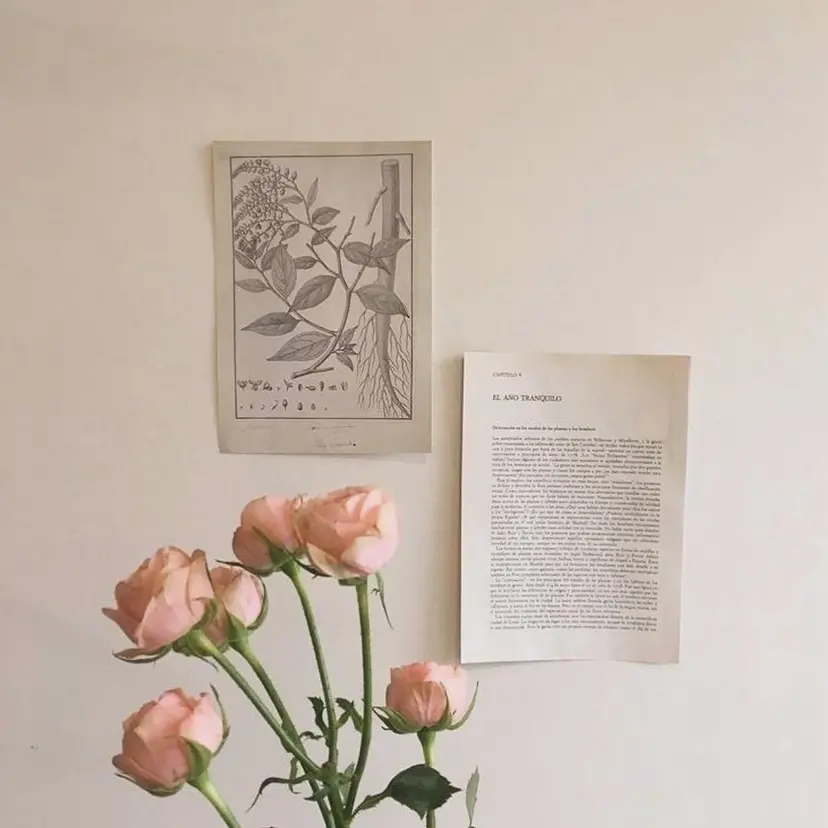 三村 愛実の掲載