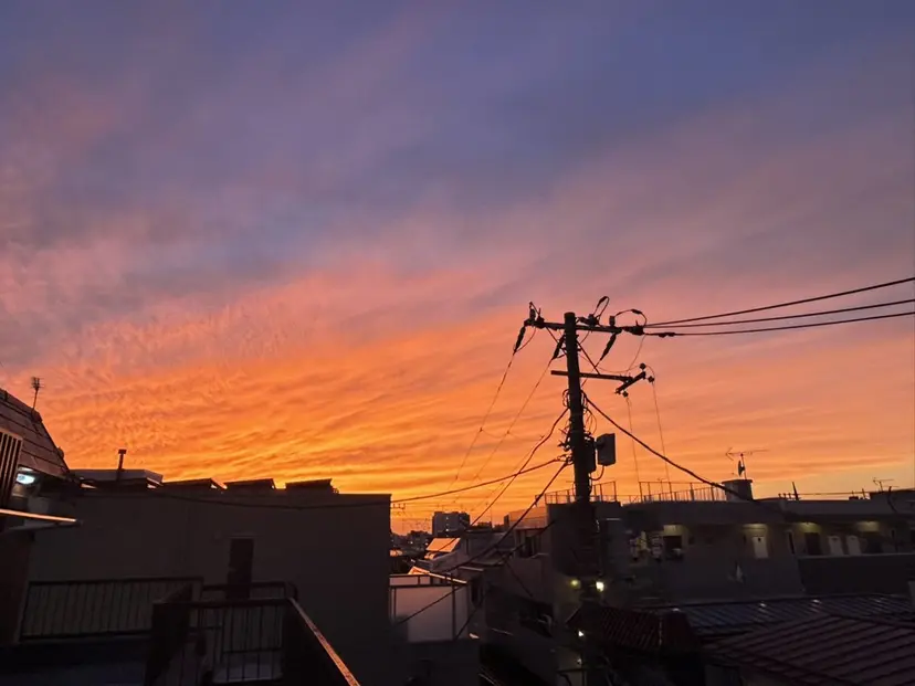 透けるカラー 🫧かふうの掲載