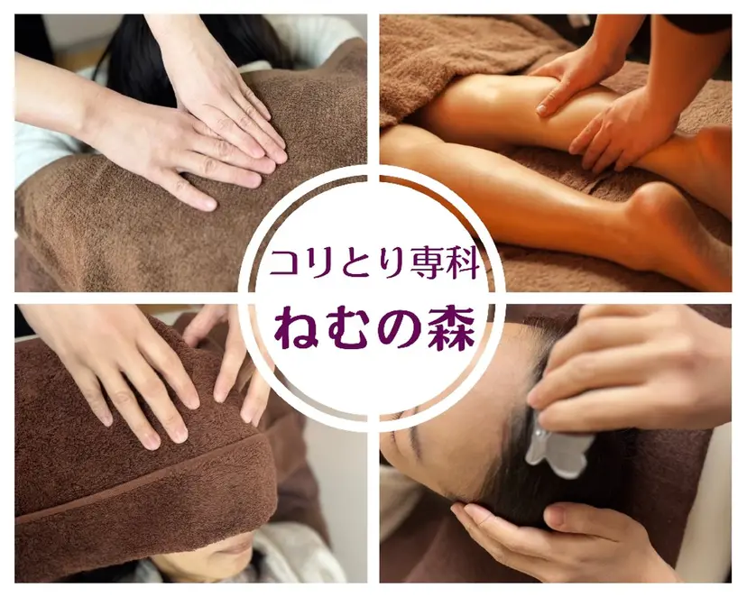 コリとり専科  ねむの森の掲載