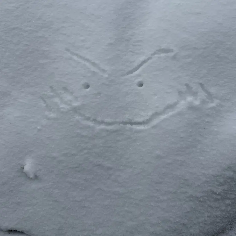 かぶらぎ りよの掲載