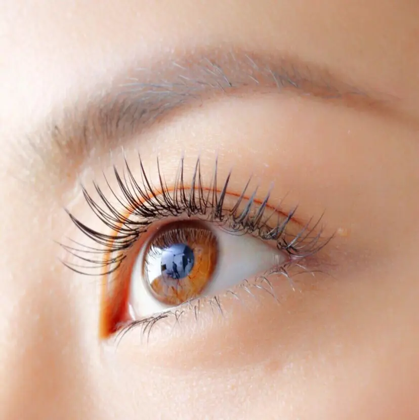 江草 茉珠紀の掲載