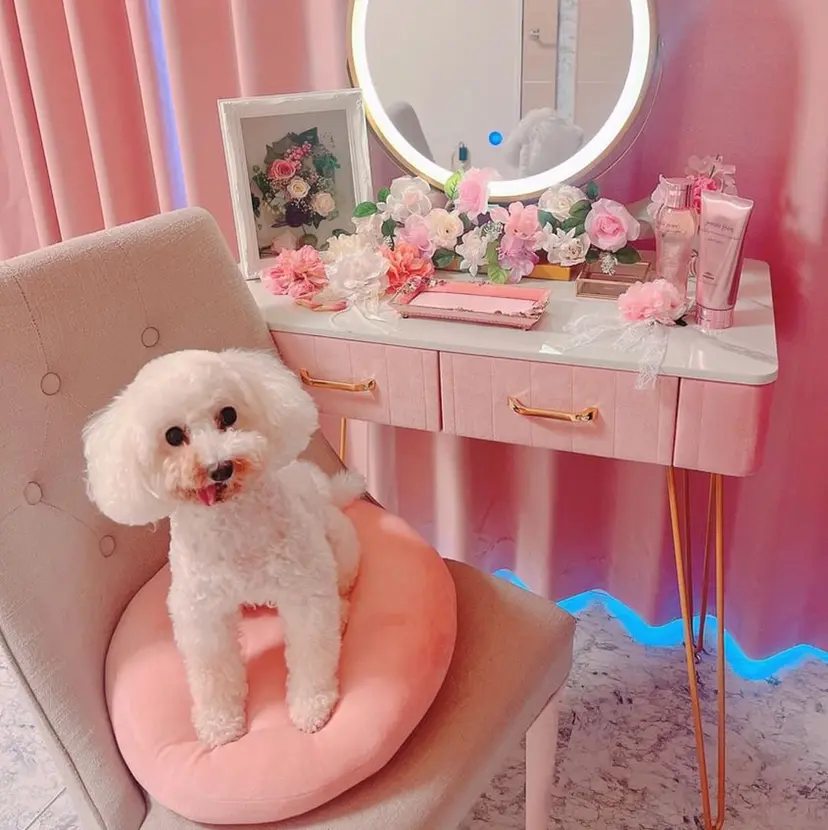 Beauty Salon Milkの掲載