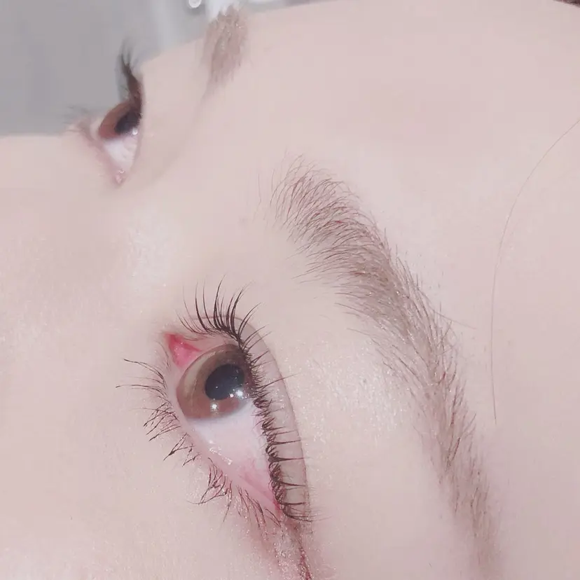 MAI yの掲載