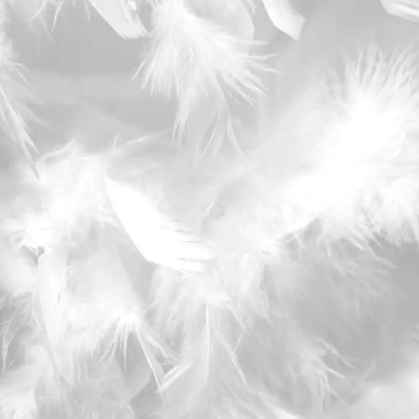 大阪ハイトーン/ ピンク/ かえでの掲載