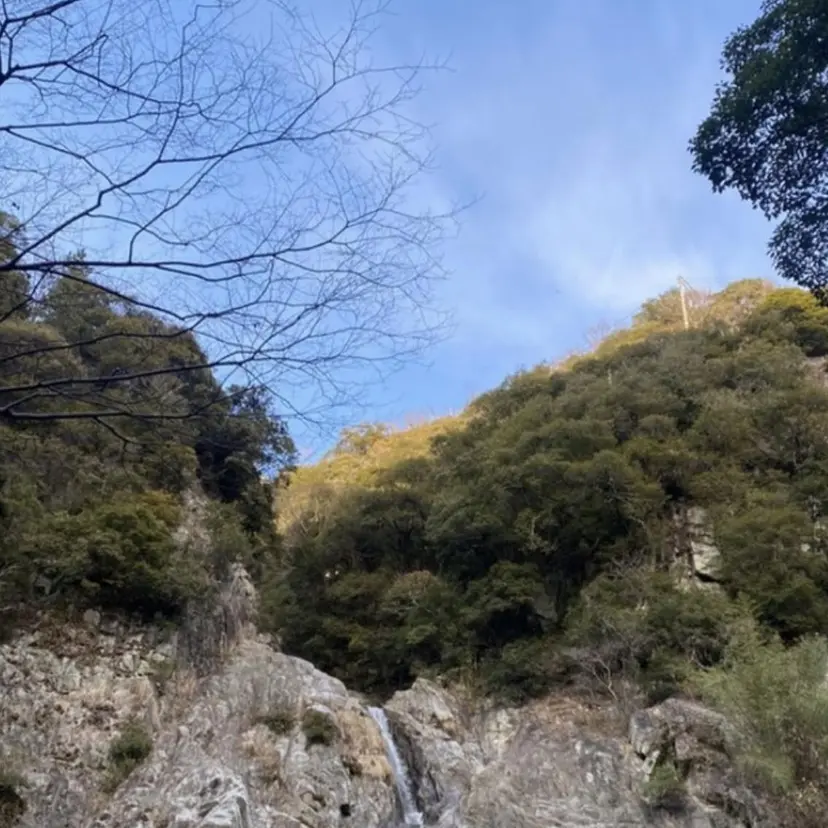 nicottlash 平野の掲載