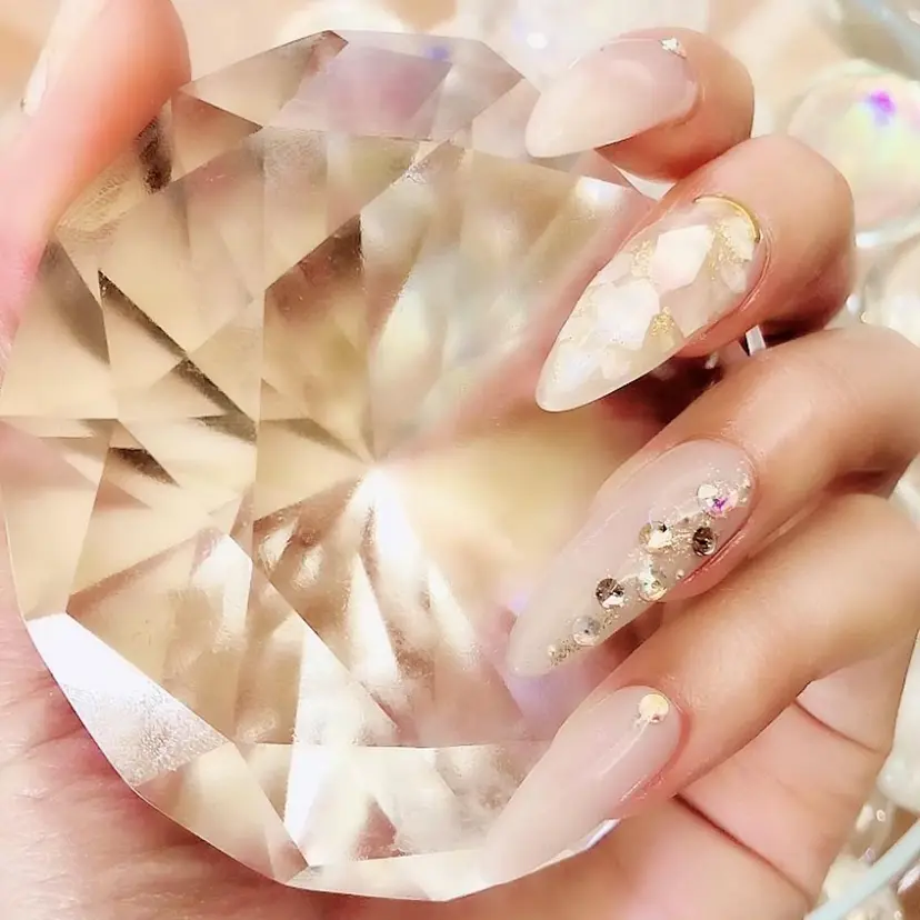 T REINAの掲載