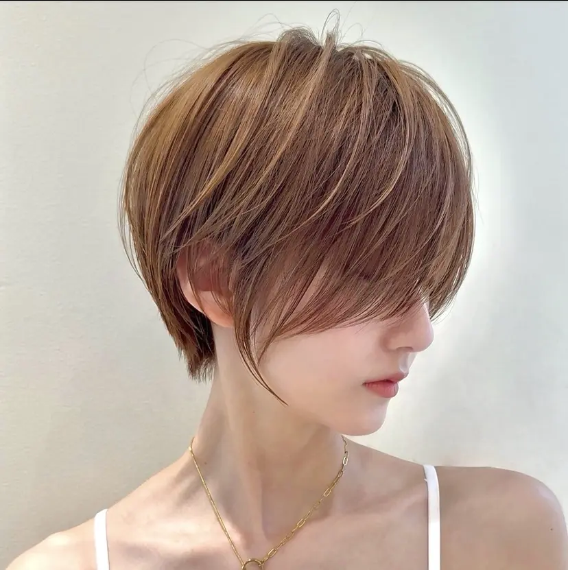 中島 主貴の掲載