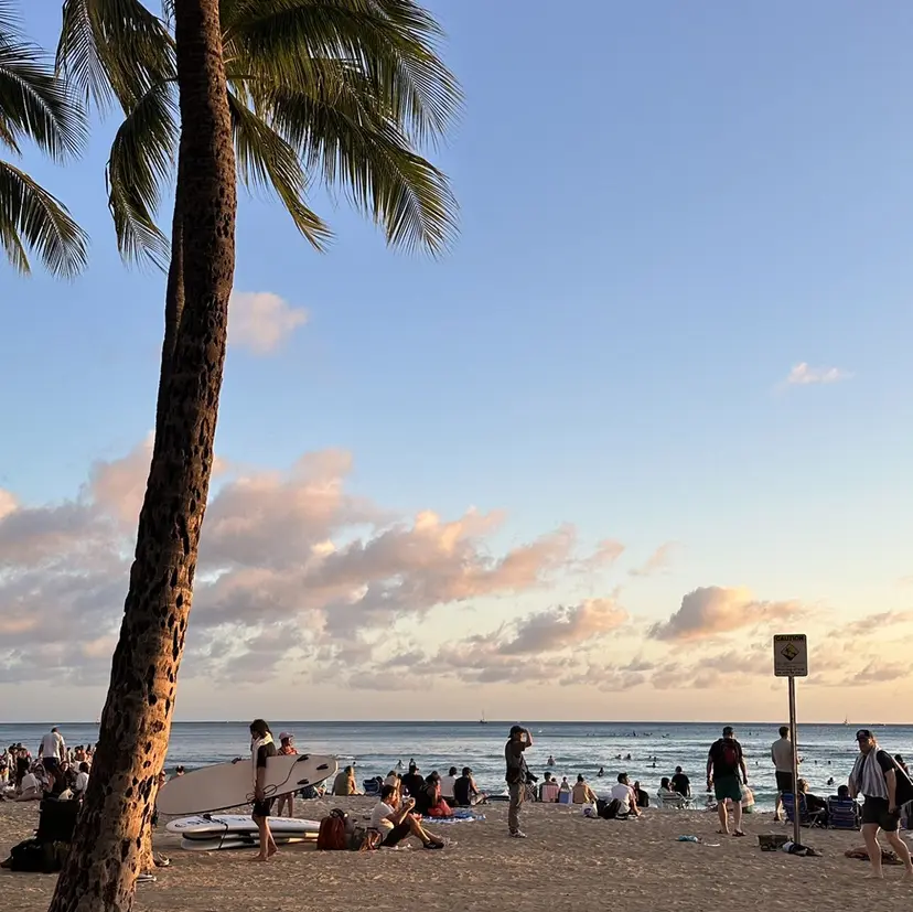 kith. モアナの掲載