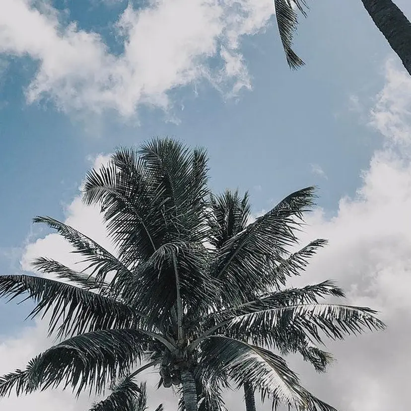 airRe yuikaの掲載