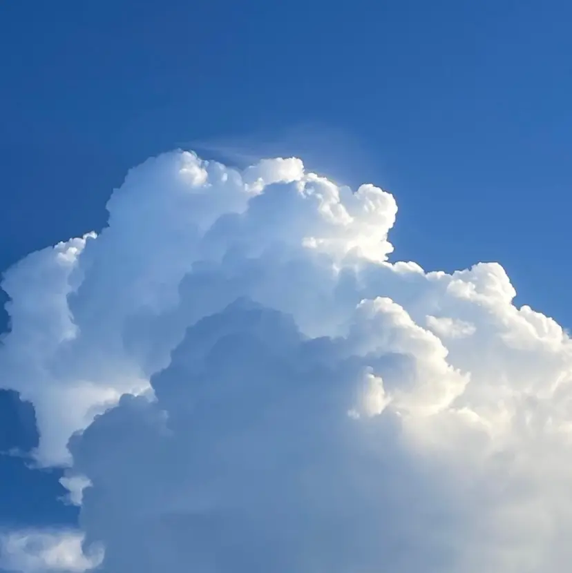 ✴︎栗山 緋時✴︎の掲載