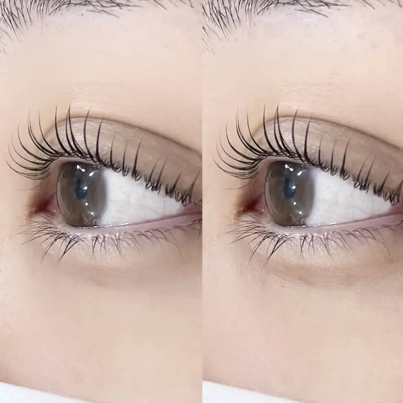 eyelash yawnの掲載