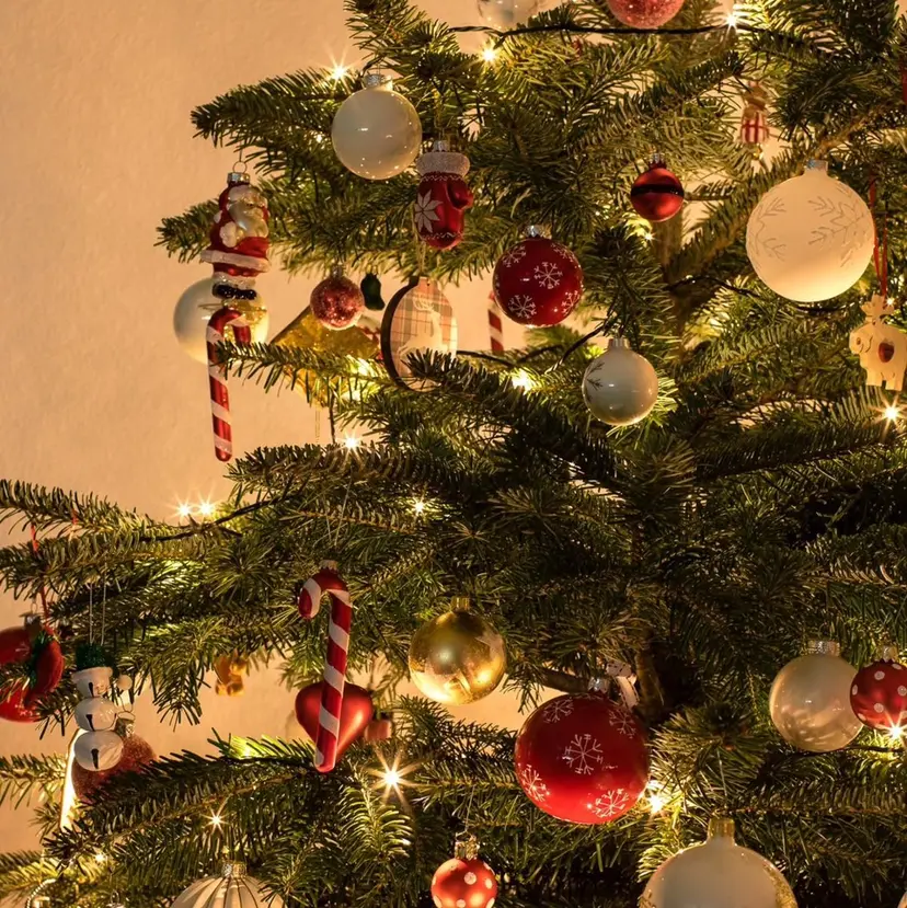 hinata🍥 眉毛サロンI'mの掲載