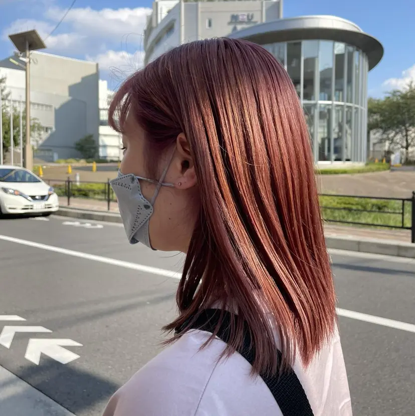 竹内 宏法の掲載